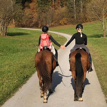 Reiterbauernhof Maho Villa Sankt Aegyd am Neuwalde Eksteriør billede
